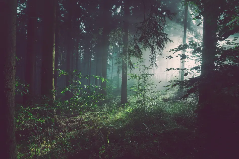 Between light & silence